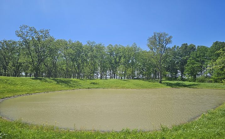 Pictures of Land, Special Purpose property located at 0 Gerard Road, Mcclure, IL 62957 for sales - image #1