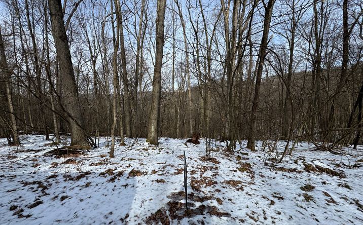 Pictures of Land property located at 00 Overlook Drive, Franklin, PA 16323 for sales - image #1