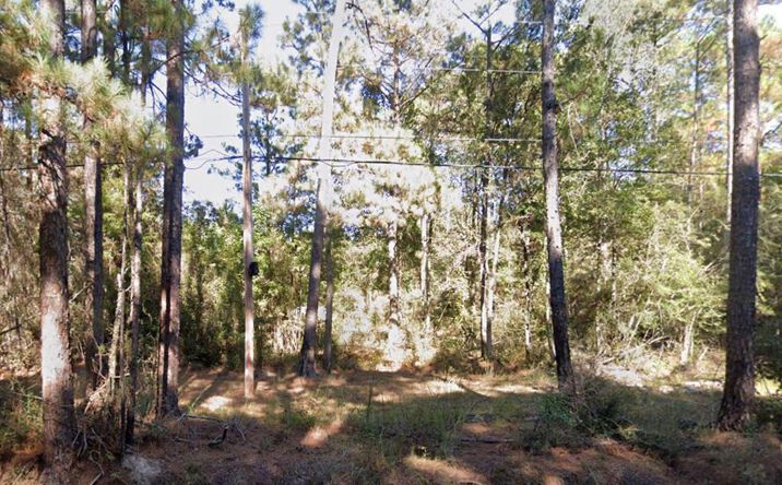 Pictures of Land, Multifamily property located at 310 Pine Grove Rd, Picayune, MS 39466 for sales - image #1