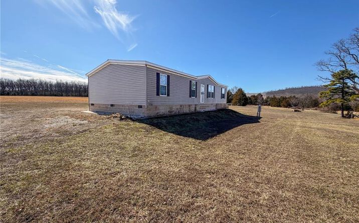 Pictures of Land property located at 33 Co Rd 55, Belleview, MO 63623 for sales - image #1