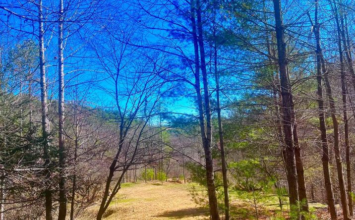 Pictures of Land, Multifamily property located at TBD Riverside Dr, Independence, VA 24348 for sales - image #1