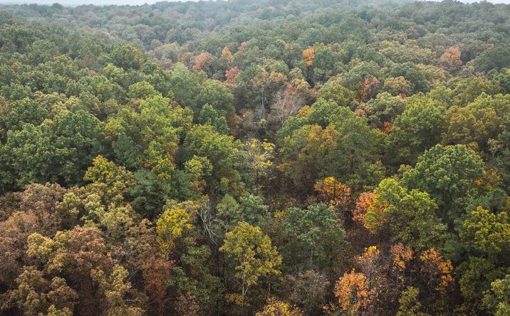 Pictures of Land property located at 000 Lodge Road, Berryman, MO 65565 for sales - image #1