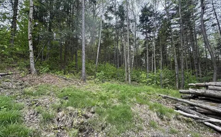 Pictures of Land property located at Lot 4 Ghastly Job Way, Wilmington, VT 05363 for sales - image #1