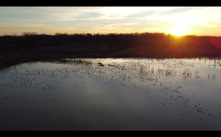 Pictures of Land property located at West of Highway 51, Dexter, MO 63841 for sales - image #1