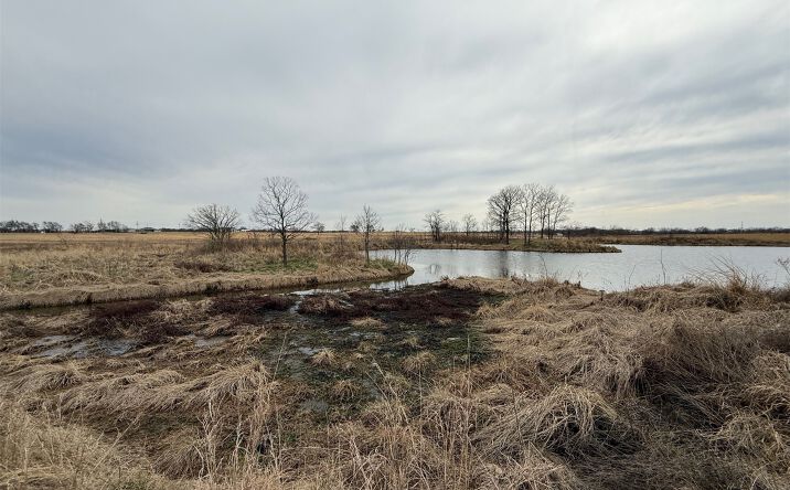 Pictures of Land property located at 4209 Alt Hwy 75, Beggs, OK 74421 for sales - image #1