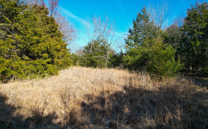 Pictures of Land property located at 412744 Hwy 9, Eufaula, OK 74432 for sales - image #1