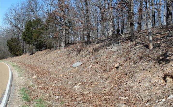 Pictures of Land, Industrial, Multifamily property located at F Highway, Sunrise Beach, MO 65079 for sales - image #1