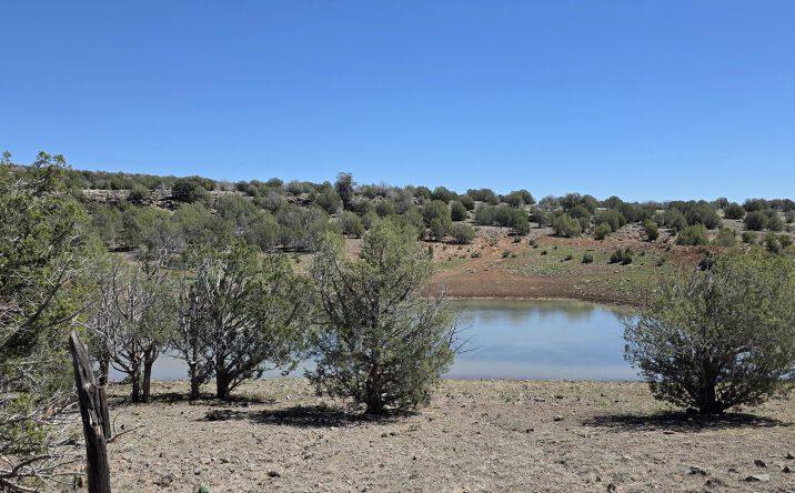 Pictures of Land property located at 5479 N Ten Tanks Road, Williams, AZ 86046 for sales - image #1