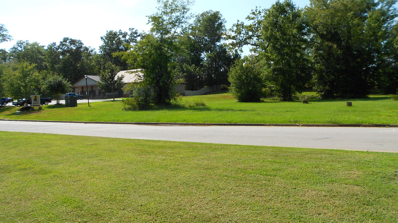 117 Snapdragon Ct., Chapin, SC 29036