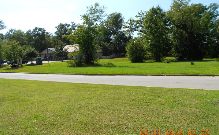 Pictures of Office, Land property located at 117 Snapdragon Ct., Chapin, SC 29036 for sales - image #1