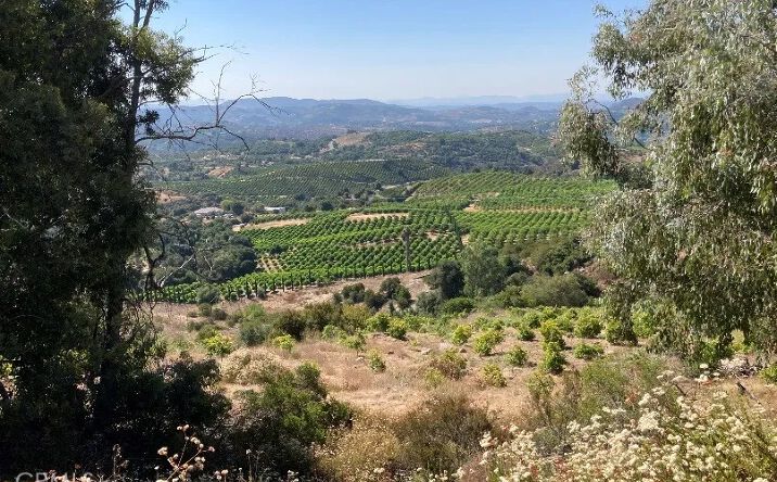 Pictures of Land property located at 37 El Calamar, Temecula, CA 92590 for sales - image #1