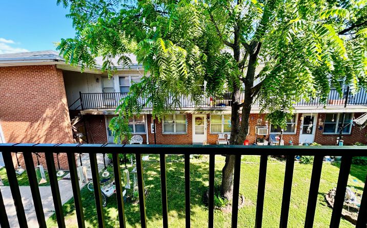 Pictures of Multifamily property located at 207 S 5th St, Louisiana, MO 63353 for sales - image #1