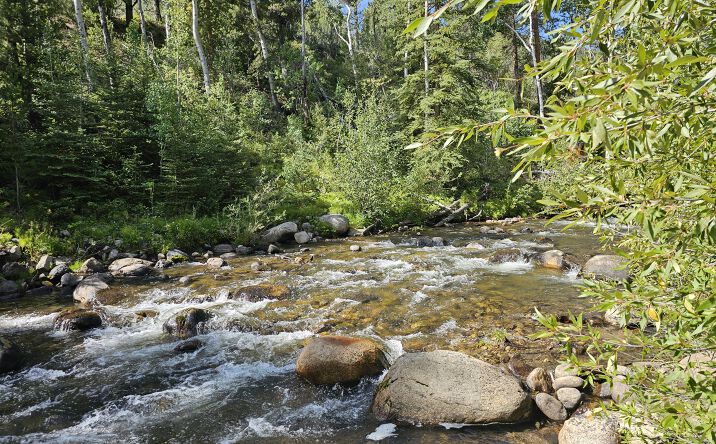 Pictures of Land property located at 19039 Monarch River Dr, Salida, CO 81201 for sales - image #1