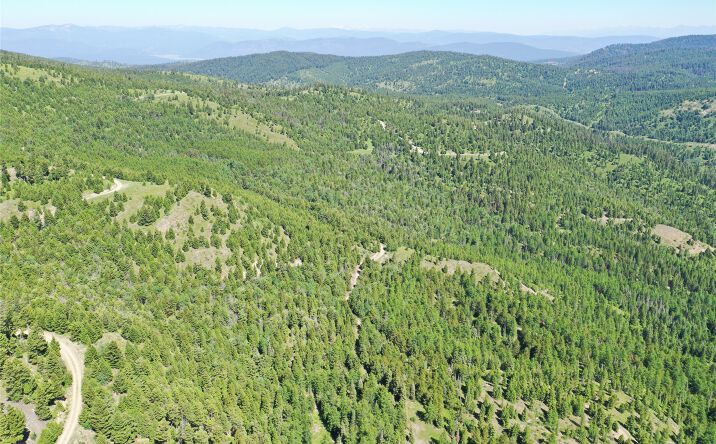 Pictures of Land property located at 9 Tract, Drummond, MT 59832 for sales - image #1