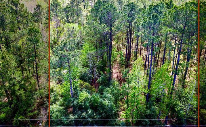Pictures of Land property located at TBD Houston River Road, Sulphur, LA 70663 for sales - image #1