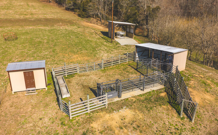Pictures of Land property located at 3381 Upper Caney Valley Rd, Tazewell, TN 37879 for sales - image #1
