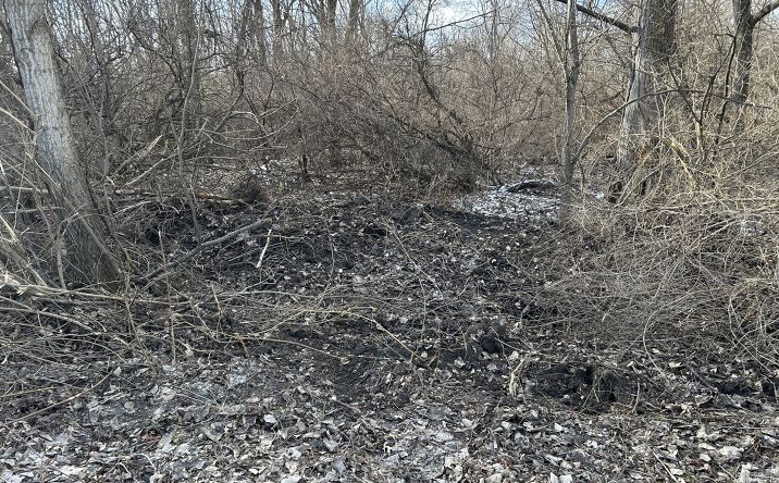 Pictures of Land property located at 15000 15500 Road, Pembroke Twp, IL 60958 for sales - image #1