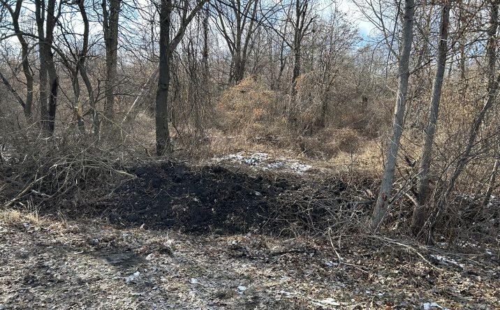 Pictures of Land property located at 15001 15500 Road, Pembroke Twp, IL 60958 for sales - image #1