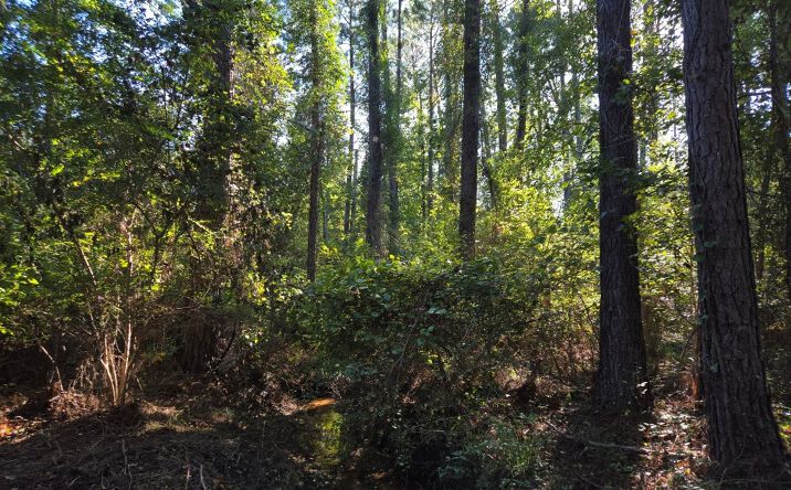 Pictures of Land property located at 0 Walden Way, Adrian, GA 31002 for sales - image #1