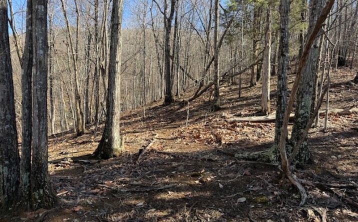 Pictures of Land property located at 2160 Zana Rd, Salem, VA 24153 for sales - image #1