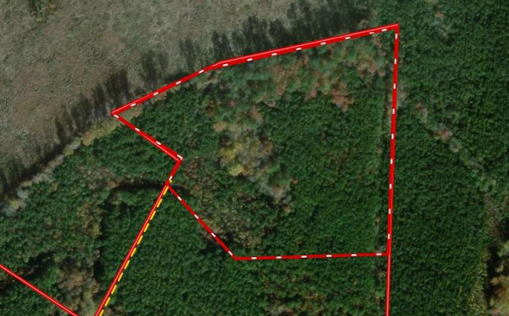 Pictures of Land property located at Diguardi Dr, Dolphin, VA 23843 for sales - image #1