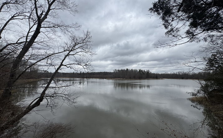 Pictures of Land property located at 157 Eulogy Rd, Lexington, MS 39095 for sales - image #1