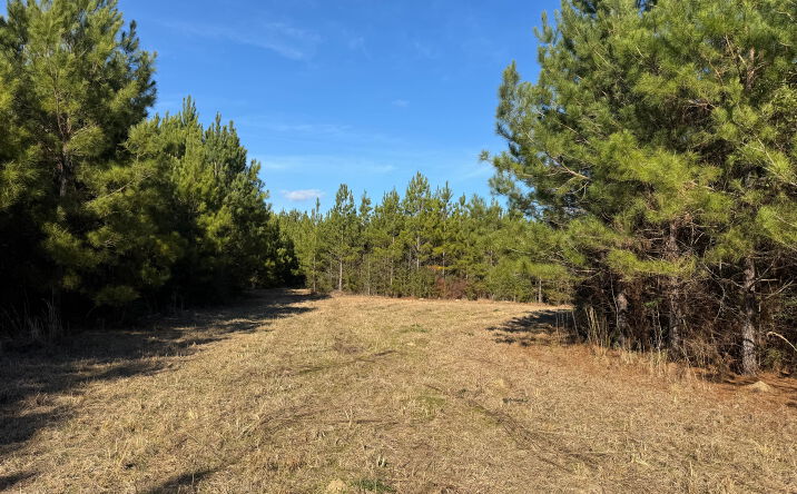Pictures of Land property located at 254 MS-27, Tylertown, MS 39667 for sales - image #1