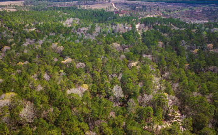 Pictures of Land property located at TBD Tract 5 Triple Creek Loop, LIVINGSTON, TX 77351 for sales - image #1