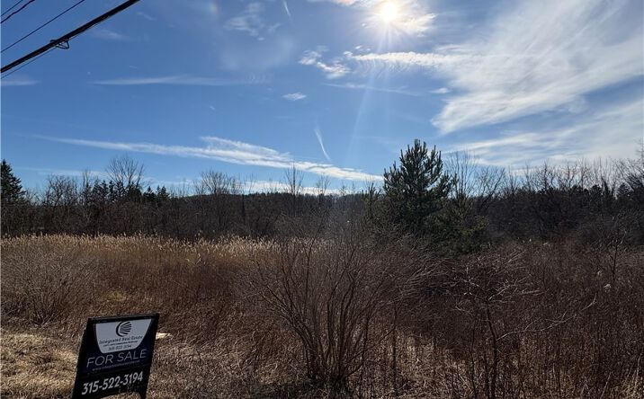 Pictures of Land property located at Route 11 N, LaFayette, NY 13084 for sales - image #1