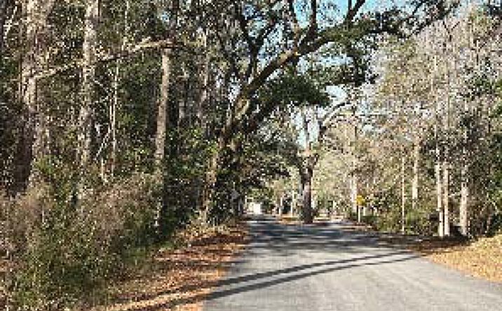 Pictures of Land property located at Trexler Ave, Hollywood, SC 29449 for sales - image #1