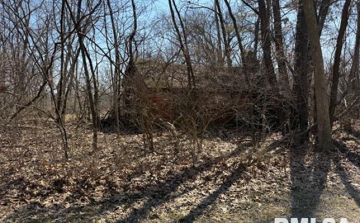Pictures of Land property located at Lots 14 15 16 Deer Crossing Lane, Petersburg, IL 62675 for sales - image #1