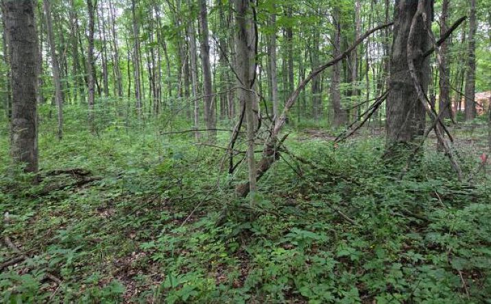 Pictures of Land property located at 1300 N, Chesterton, IN 46304 for sales - image #1