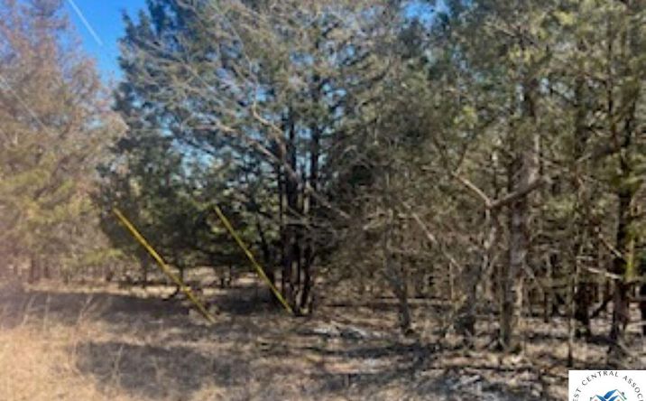 Pictures of Land property located at TBD Daffodil, Warsaw, MO 65355 for sales - image #1