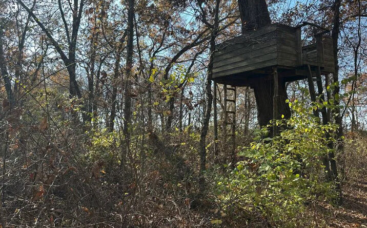 Pictures of Land property located at Indian Springs Recreational Retreat, Vermilion, IL 61834 for sales - image #1
