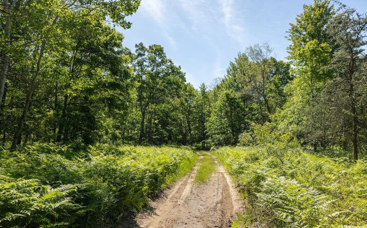 Pictures of Land, Special Purpose property located at V/L Comstock Ave Par B, Bitely, MI 49309 for sales - image #1