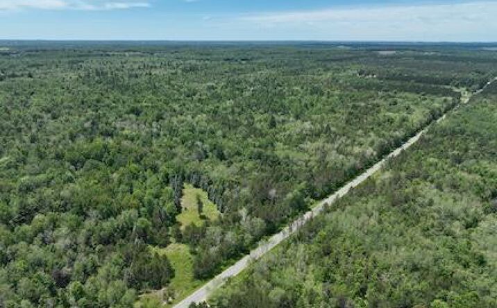 Pictures of Land, Special Purpose property located at V/L W 13 Mile Rd. Par C, Bitely, MI 49309 for sales - image #1