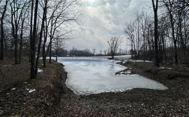 Pictures of Land property located at 5018 S Rumsey Road, Pittsford, MI 49271 for sales - image #1