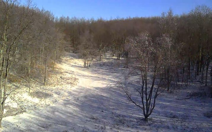 Pictures of Land, Special Purpose property located at V/L 135th Avenue, Leroy, MI 49655 for sales - image #1
