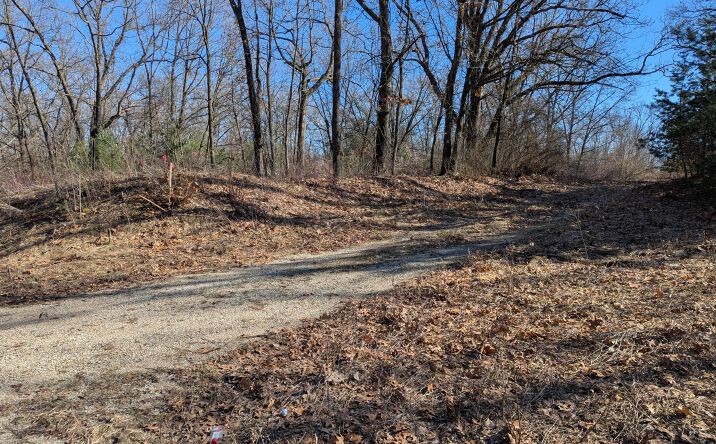 Pictures of Land, Special Purpose property located at Parcel B E 136th Street, Sand Lake, MI 49343 for sales - image #1