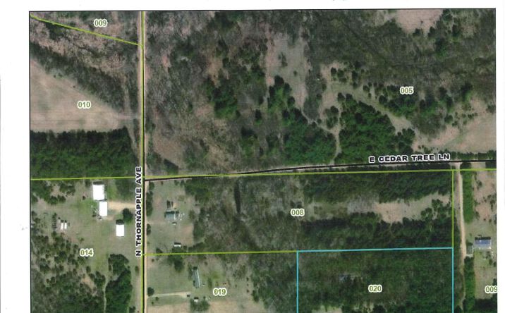Pictures of Land, Special Purpose property located at 1138 N Thornapple Avenue, White Cloud, MI 49349 for sales - image #1