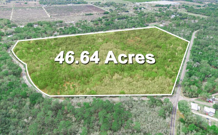 Pictures of Land property located at 6339 Timberlane Rd, Lake Wales, FL 33898 for sales - image #1