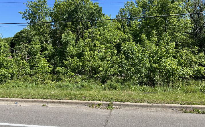 Pictures of Land property located at Beecher Rd., Flint Twp, MI 48532 for sales - image #1