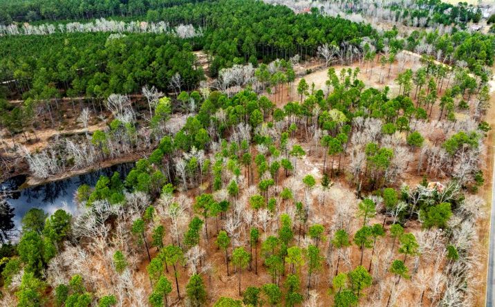 Pictures of Land property located at 13463 Cowart Pond Rd, Metter, GA 30439 for sales - image #1