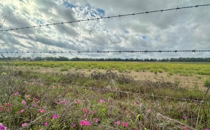 Pictures of Land property located at SW 80th St, Trenton, FL 32693 for sales - image #1