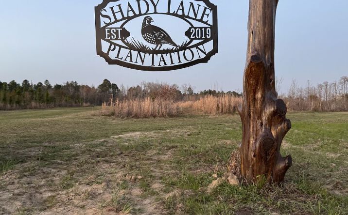 Pictures of Land property located at 1334 Shady Ln, Sylvania, GA 30467 for sales - image #1
