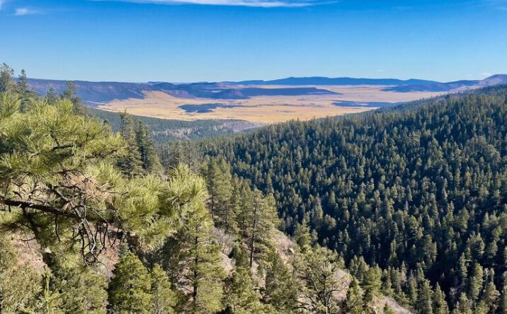Pictures of Land property located at No Known Address NM 120, Angel Fire, NM 87710 for sales - image #1