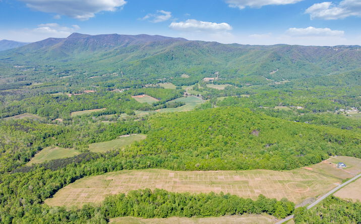 Pictures of Hospitality, Land, Multifamily property located at 4200 Lambsburg Rd, Lambsburg, VA 24351 for sales - image #1