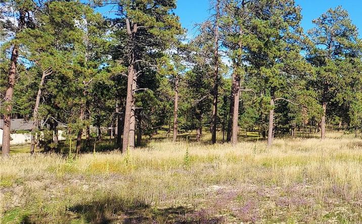 Pictures of Land property located at 13395 Frank Rd, Colorado Springs, CO 80908 for sales - image #1