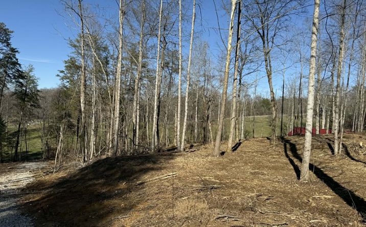 Pictures of Land property located at Lots #16 & #22 S Taxiway Dr, Snow, KY 42602 for sales - image #1