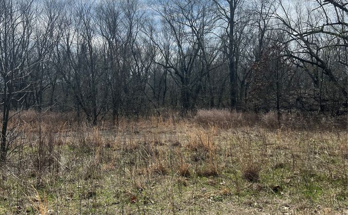 Pictures of Land property located at Hwy 266 Highway, Checotah, OK 74426 for sales - image #1
